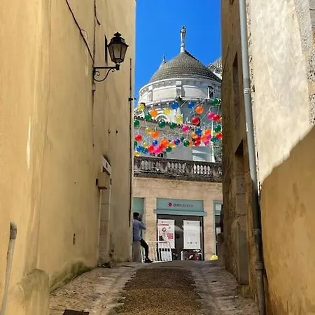 Superbe T3 Atypique Dans Le Quartier Historique *